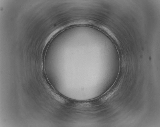 X0000072550837200608041646