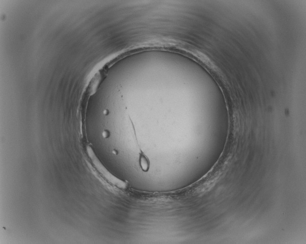 X0000072550838200608041646