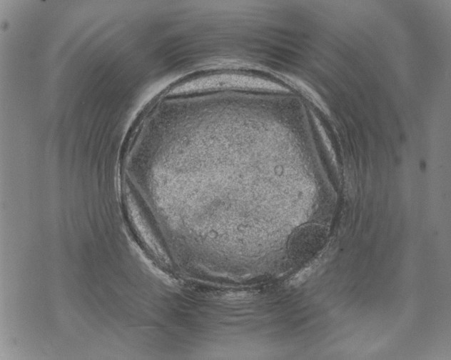 X0000072550839200608041646