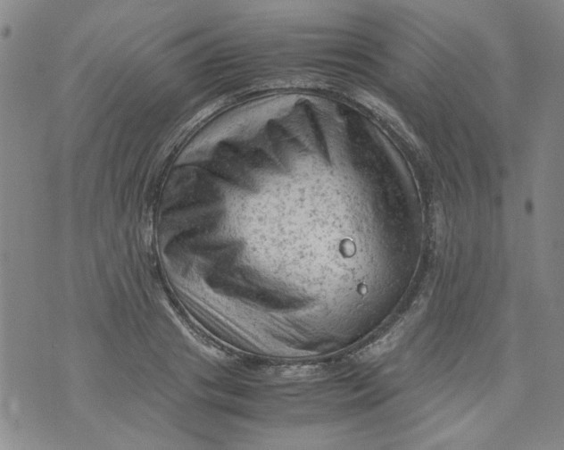 X0000072550841200608041646