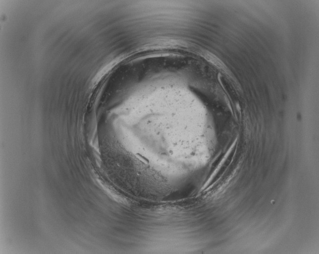 X0000072550842200608041646