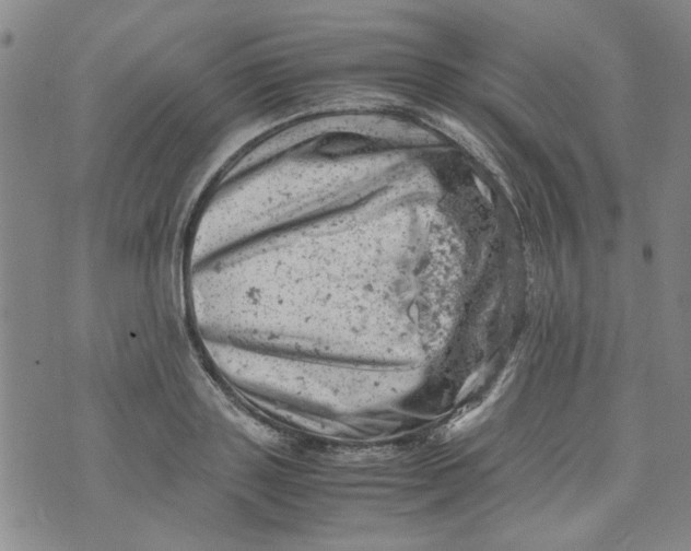 X0000072550843200608041646