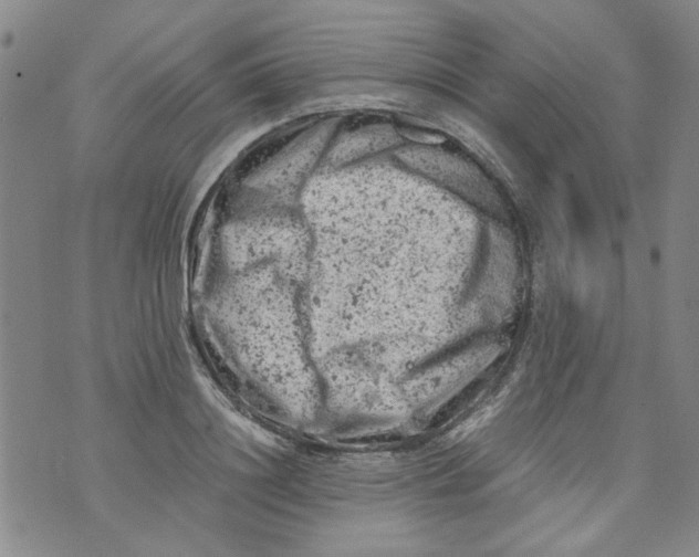 X0000072550844200608041646