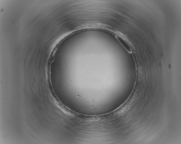 X0000072550846200608041646