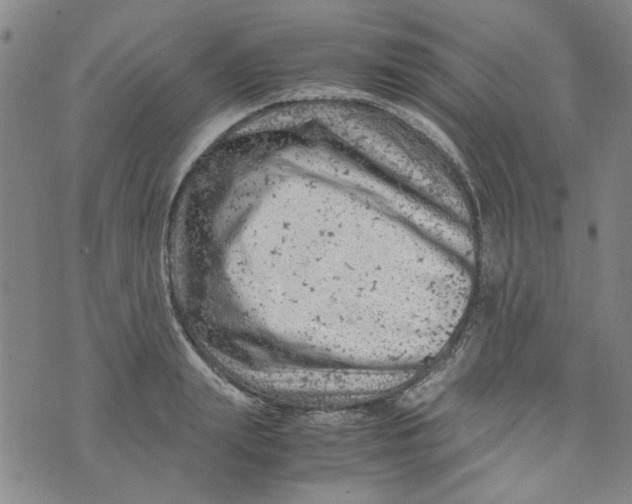 X0000072550847200608041646