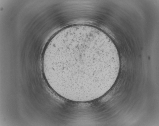 X0000072550848200608041646