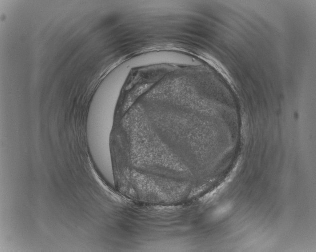 X0000072550849200608041646