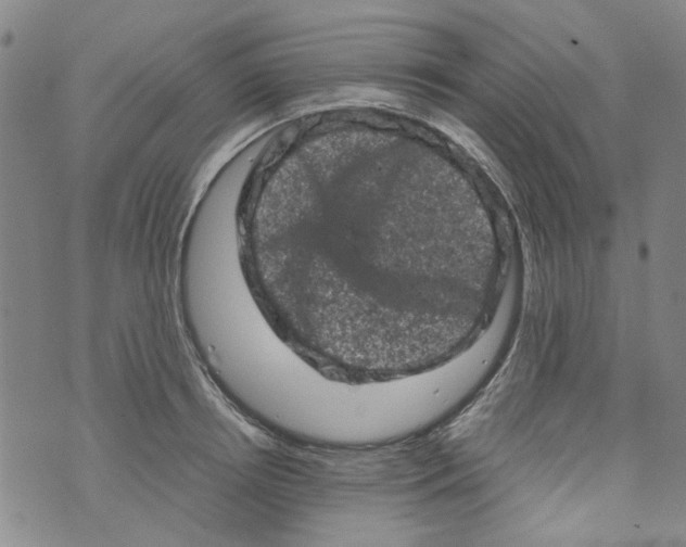 X0000072550850200608041646