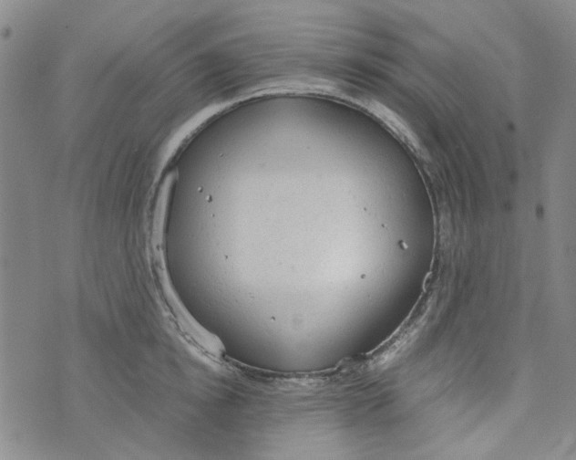 X0000072550854200608041646