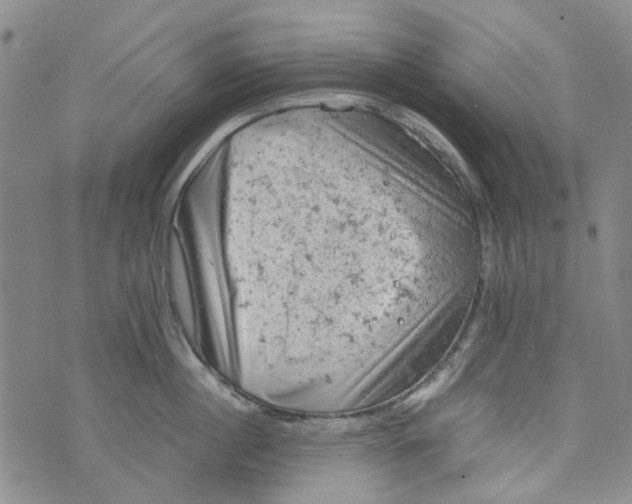 X0000072550860200608041646