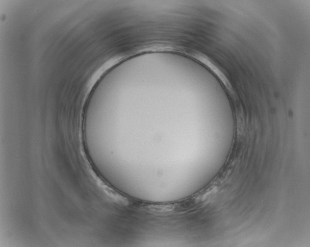 X0000072550861200608041646