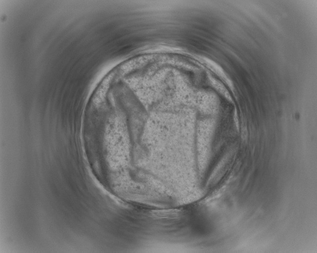 X0000072550863200608041646