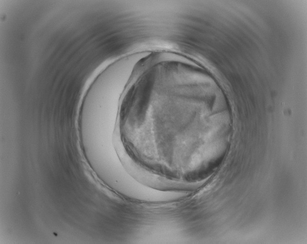 X0000072550864200608041646