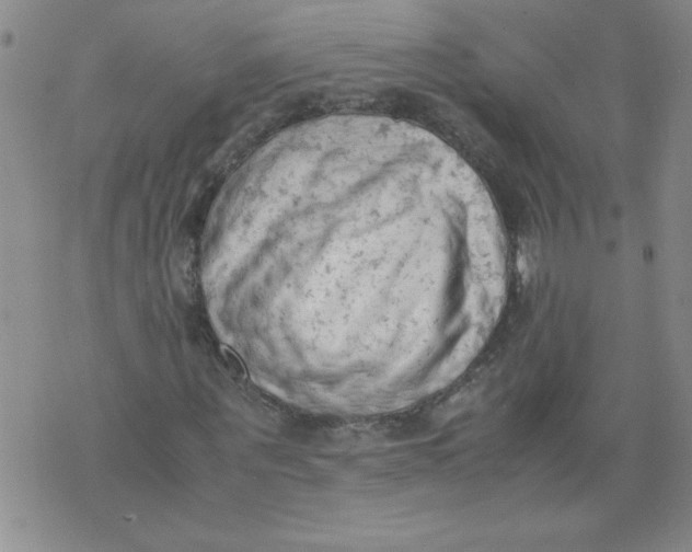 X0000072550867200608041645