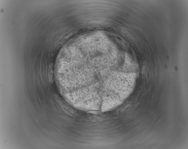 X0000072550868200608041645