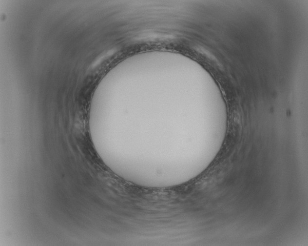 X0000072550869200608041645