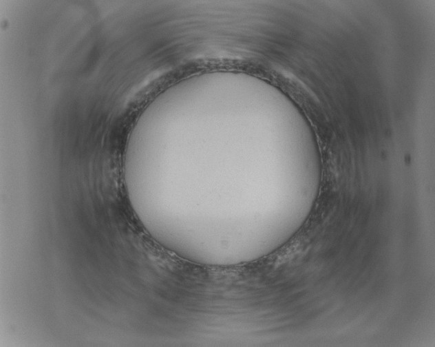 X0000072550870200608041645