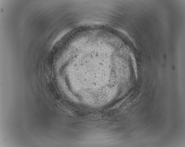 X0000072550871200608041645