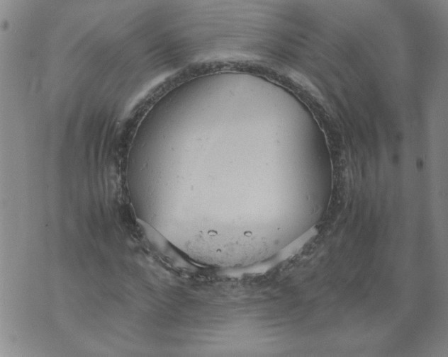 X0000072550872200608041645