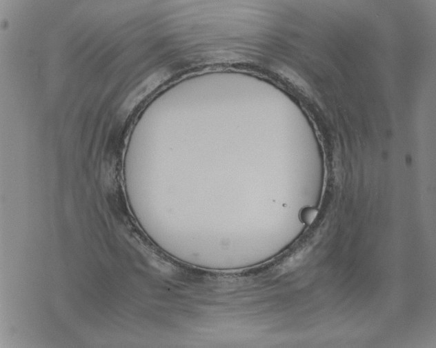 X0000072550873200608041645