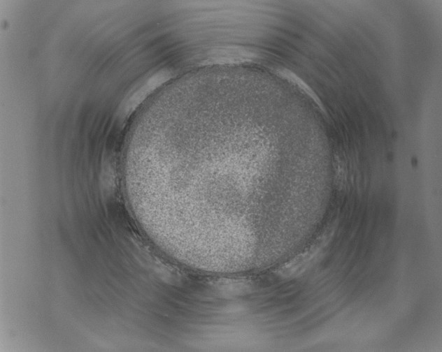 X0000072550874200608041645