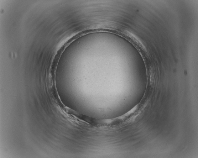 X0000072550876200608041645