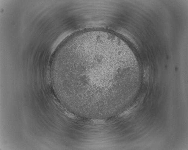 X0000072550878200608041645