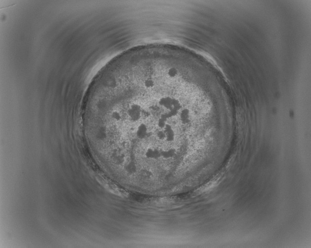 X0000072550879200608041645