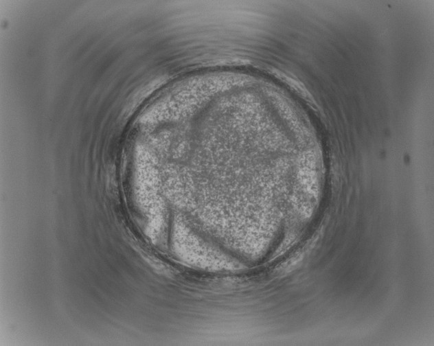 X0000072550881200608041645