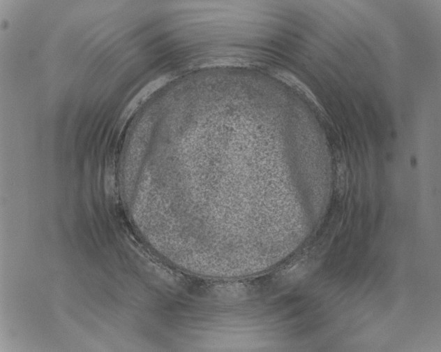 X0000072550882200608041645