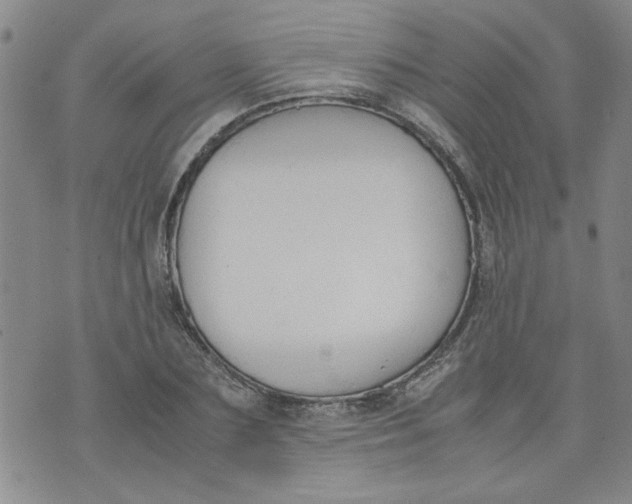 X0000072550883200608041645