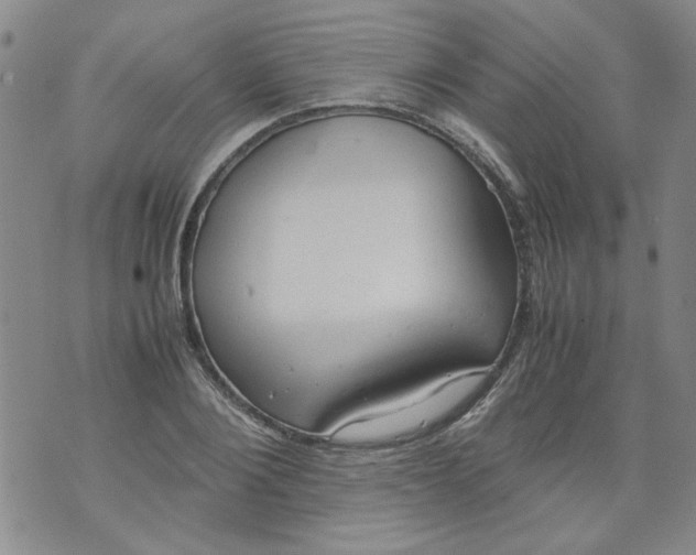 X0000072550884200608041645