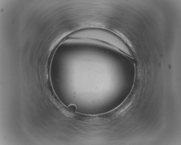 X0000072550885200608041645