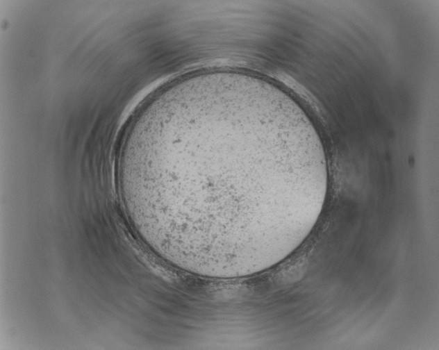 X0000072550886200608041645