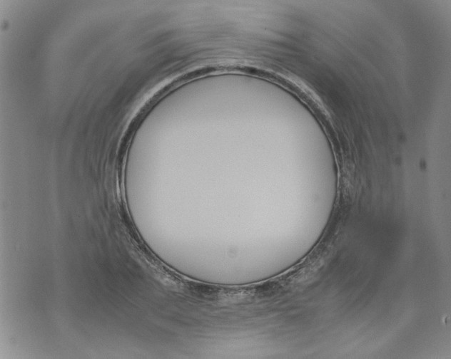 X0000072550887200608041645