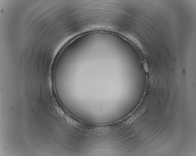 X0000072550888200608041645