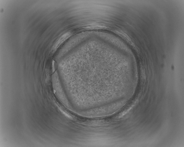 X0000072550889200608041645