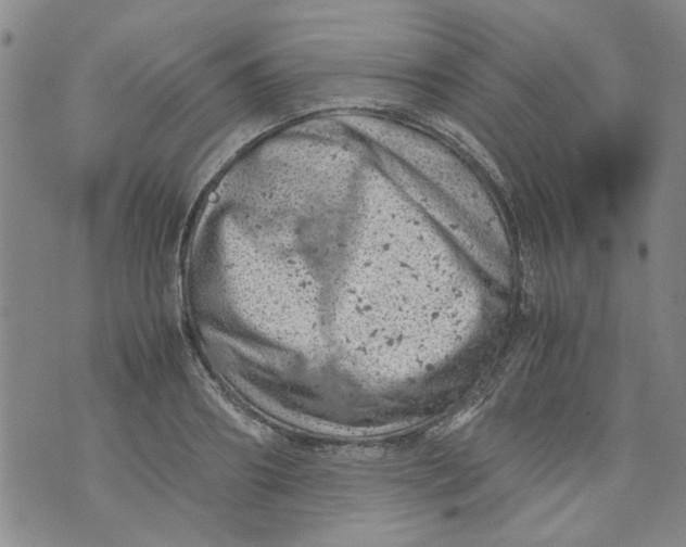 X0000072550890200608041645