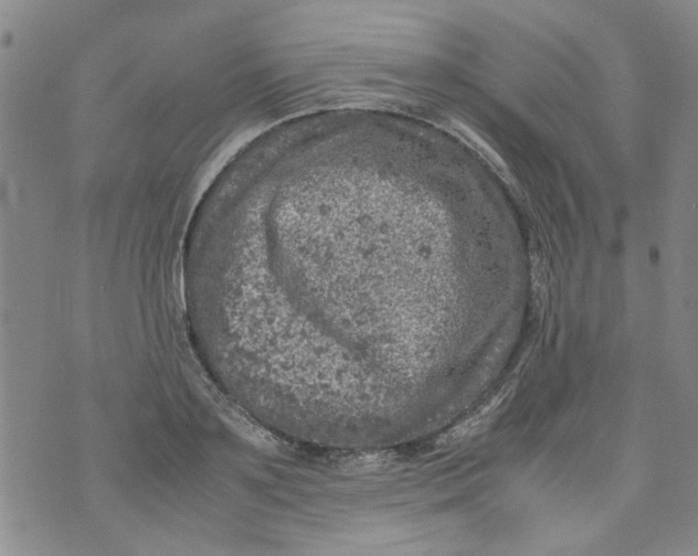 X0000072550891200608041645