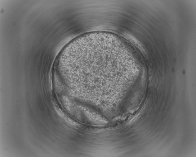 X0000072550892200608041645