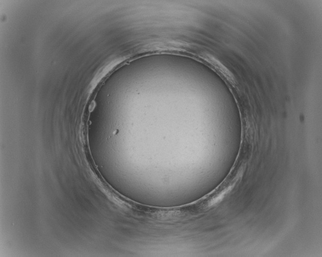 X0000072550893200608041645