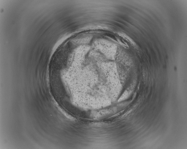 X0000072550894200608041645