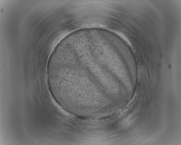 X0000072550895200608041645