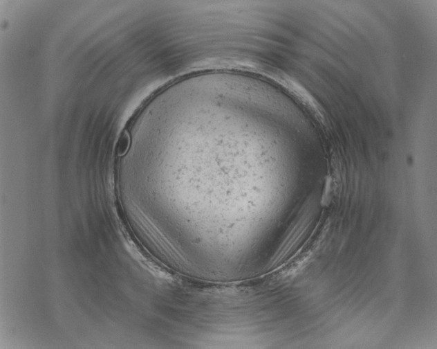 X0000072550896200608041645