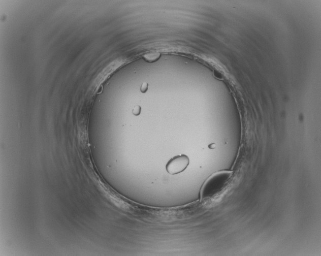 X0000072550897200608041645