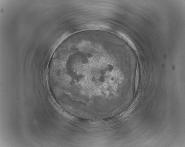 X0000072550899200608041645