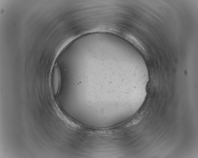 X0000072550900200608041645