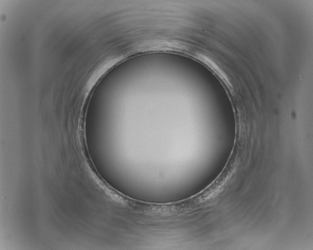 X0000072550901200608041645