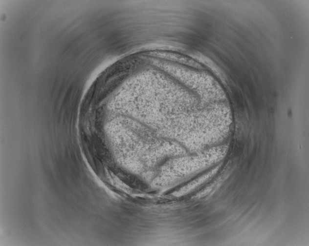 X0000072550902200608041645