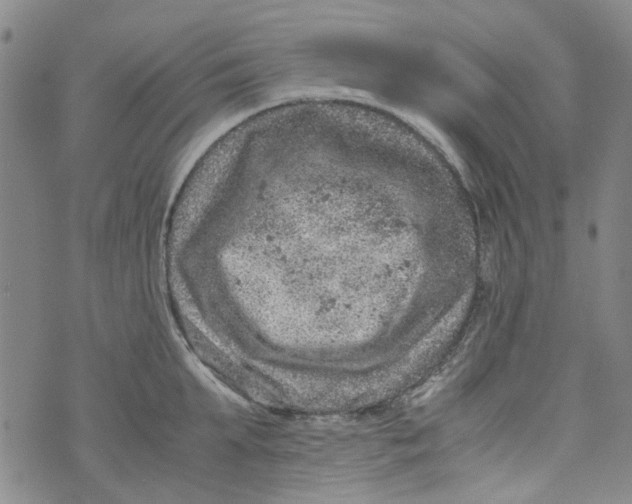 X0000072550903200608041645